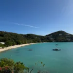 delta air lines grenada