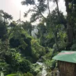 wotten waven in dominica