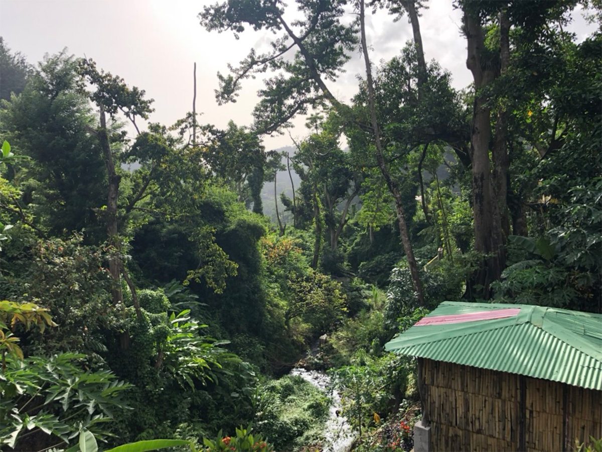 This Hidden Village in Dominica Has Hot Springs, Healing Waters, and a Funky Spirit