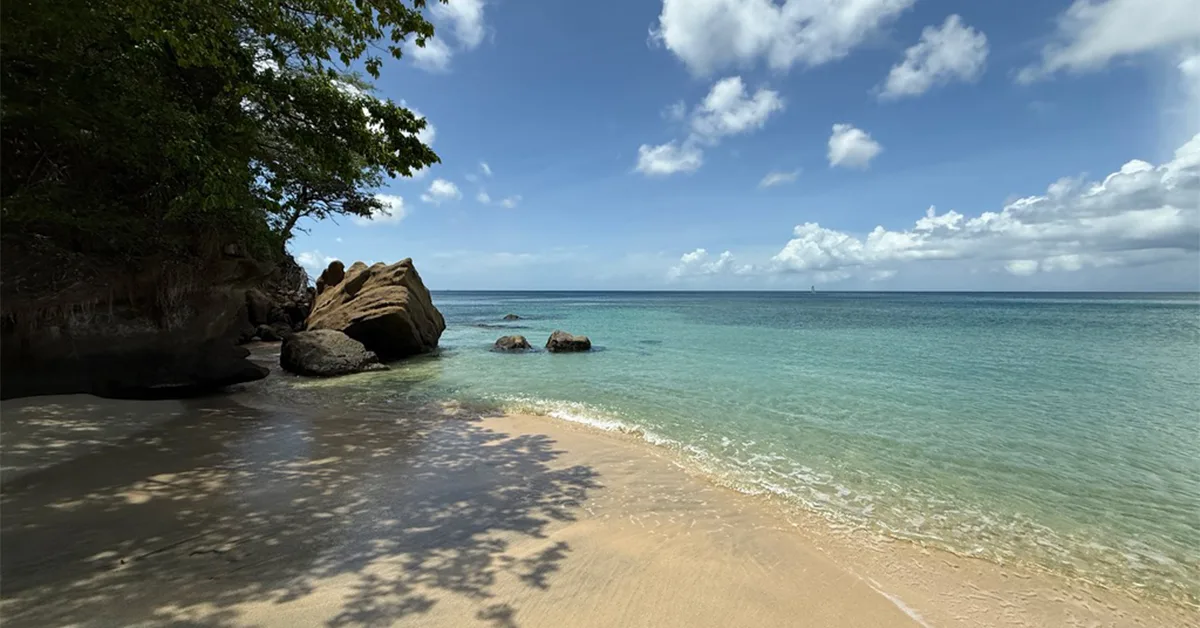 beach at silversands