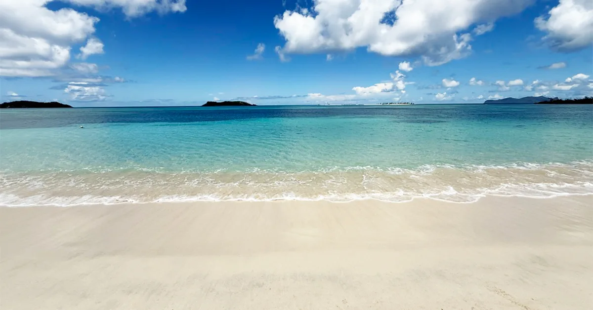 beach in carriacou