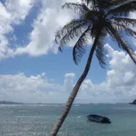 st vincent grenadines