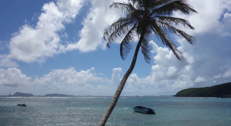 st vincent grenadines