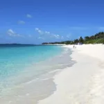 cabbage beach
