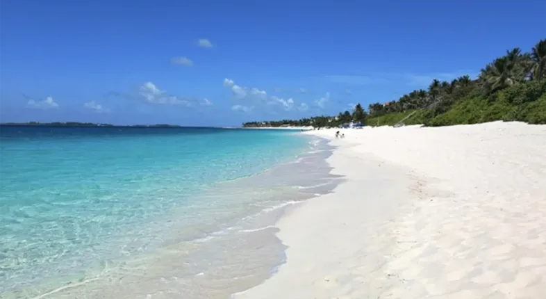 cabbage beach