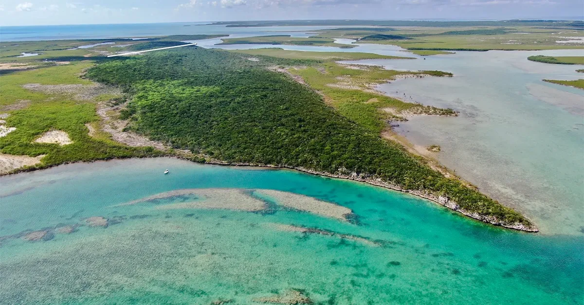 It just hit the market.