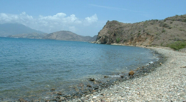 kitts