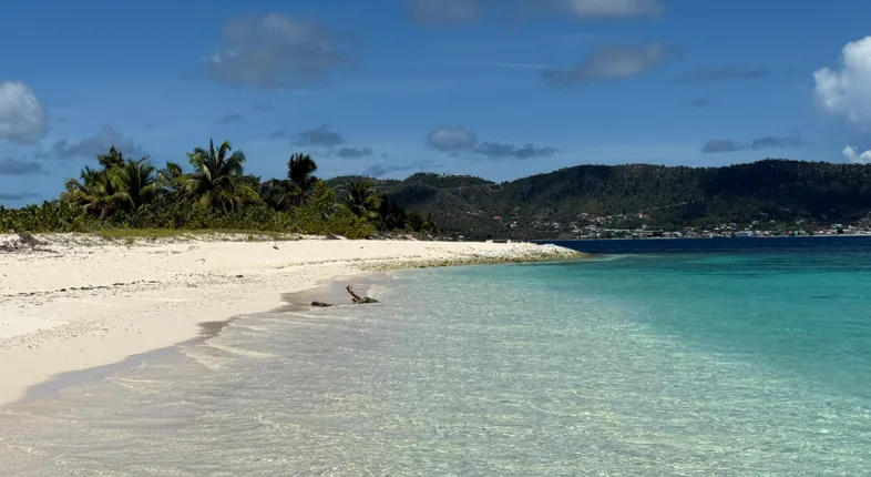 carriacou caribbean beaches
