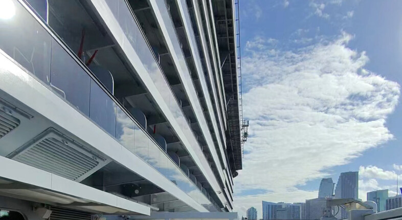 brilliant lady virgin