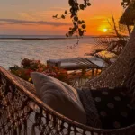 aruba hammock
