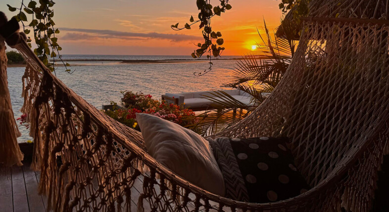 aruba hammock