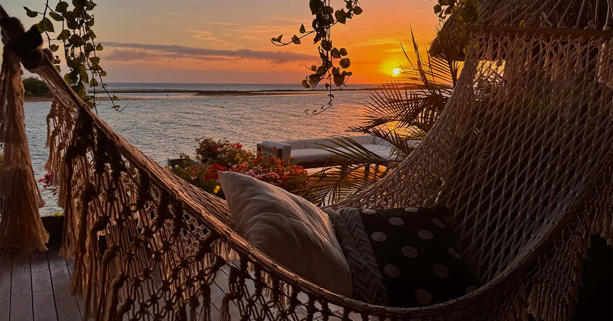 aruba hammock