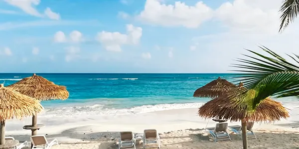 beach chairs at pineapple beach club