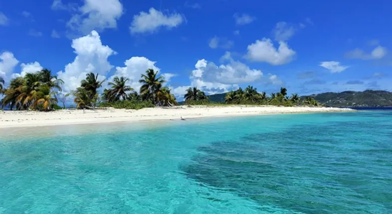 sandy island grenada