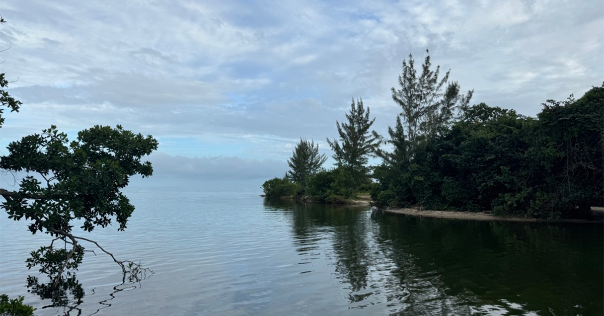 The 15 Best Belize Hotels for 2026 Are Designed for Travelers Who Want a Strong Sense of Place