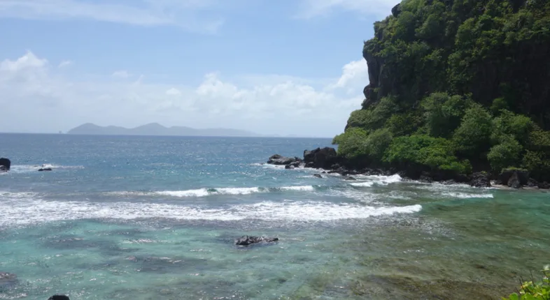caribbean island americans