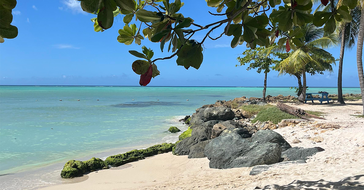 Caribbean Photo of the Week: Pigeon Point, Tobago