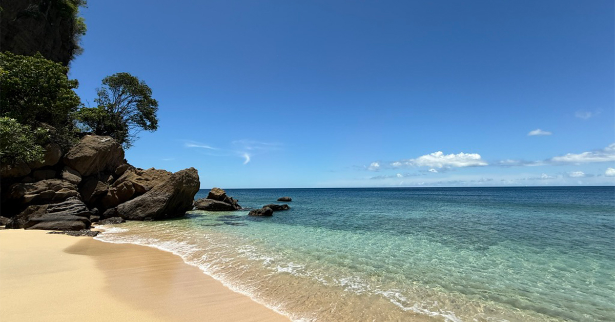 The Caribbean Island of Grenada Has Spectacular Beaches, Hidden Coves, and Postcard-Worthy Sandbars