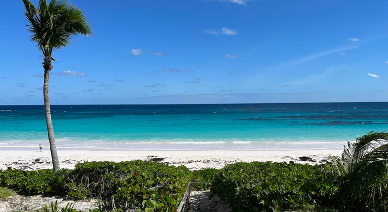 The sand is pink and perfect.