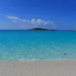 travel advisor trends