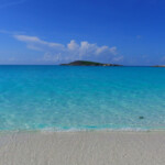 travel advisor trends