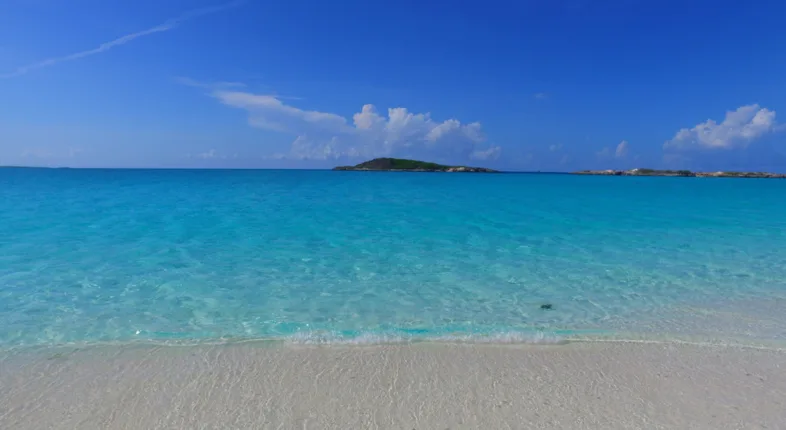 travel advisor trends