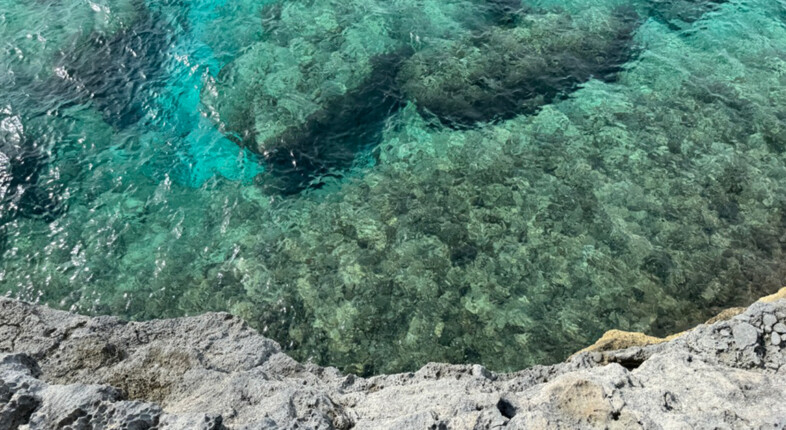 american airlines caribbean island eleuthera