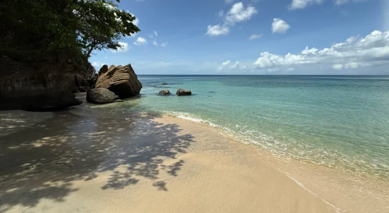 boutique 50 caribbean hotels