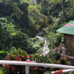 dominica hot springs