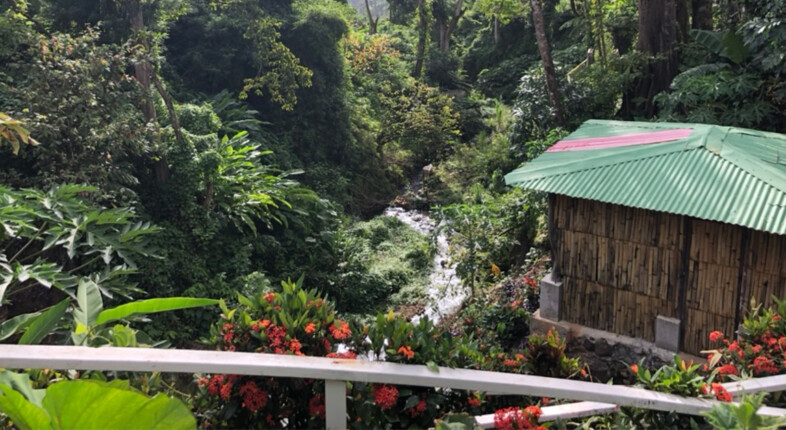 dominica hot springs