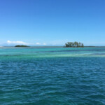 bimini american airlines