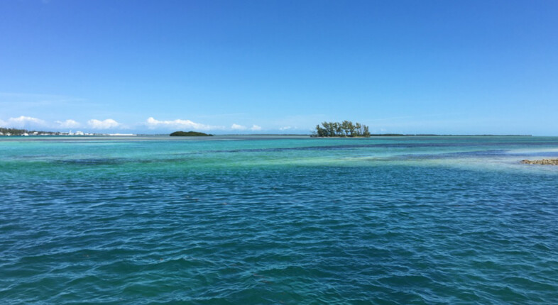 bimini american airlines