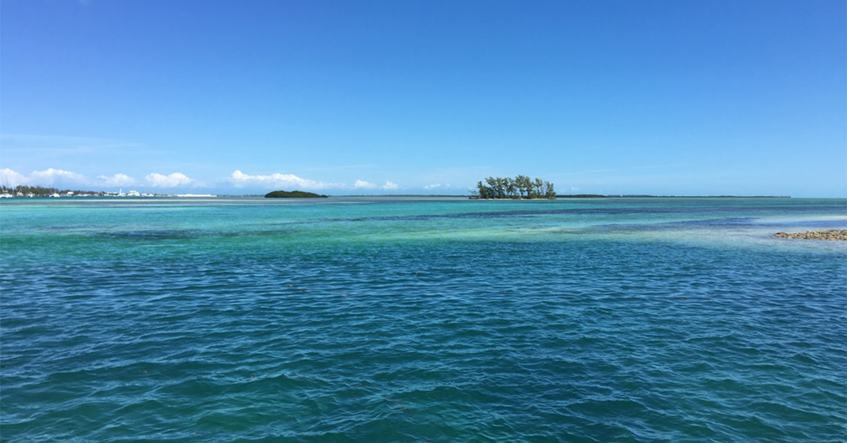 bimini american airlines