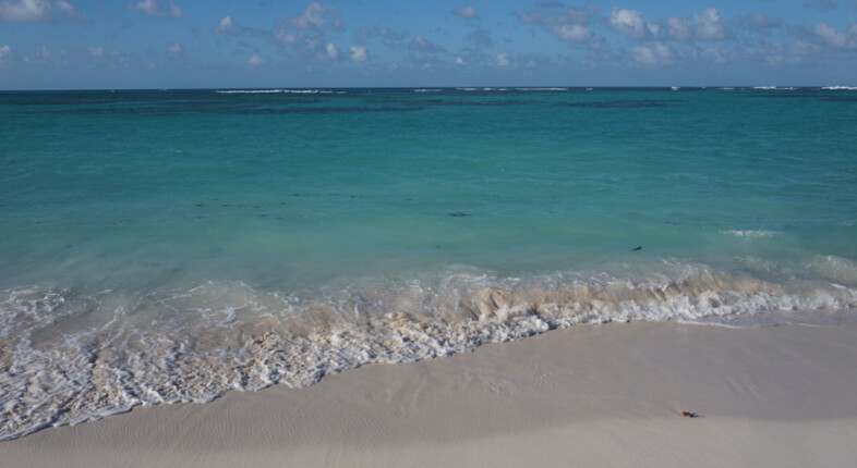 Cow Wreck Beach in Anegada.
