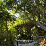 turks and caicos hotel beach