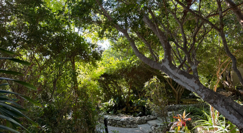 turks and caicos hotel beach