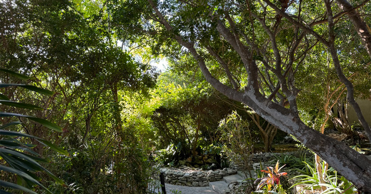This Turks and Caicos Hotel Has Private Cottages, Botanical Gardens, and a Grace Bay Beach Club