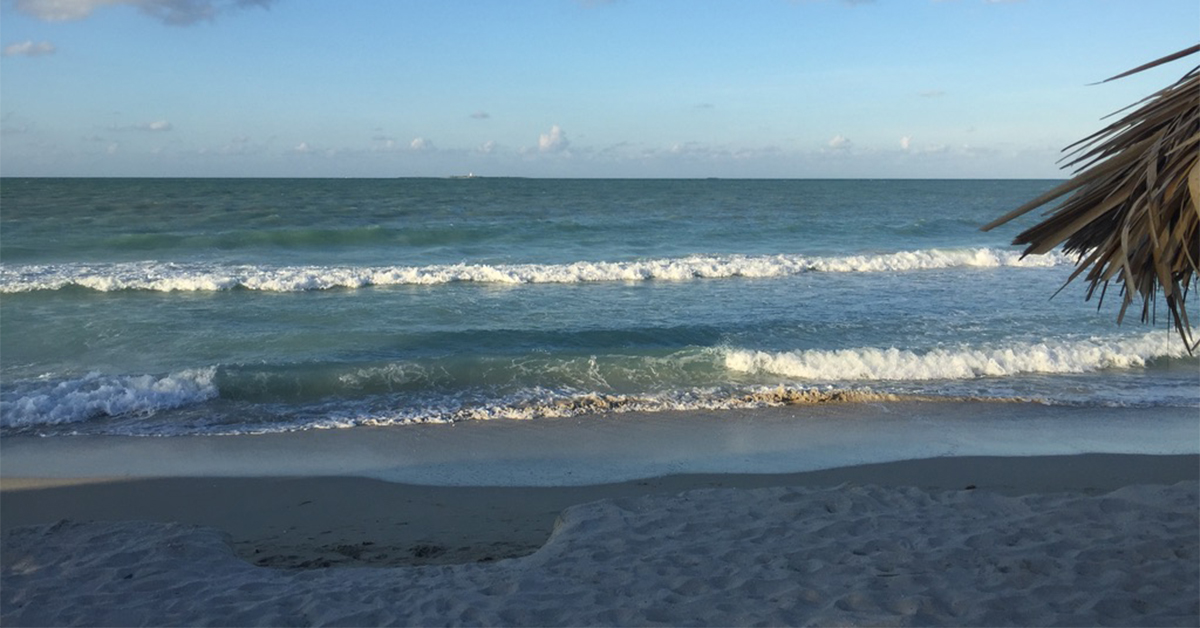 Air Canada, WestJet Suspend Cuba Flights as Fuel Shortages Disrupt Travel