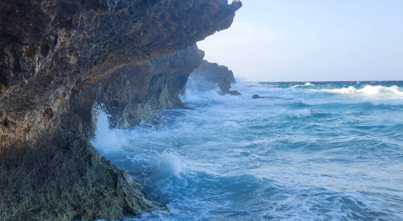 aruba waves