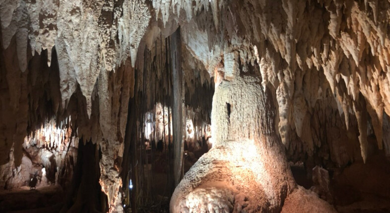 It's one of the coolest activities in Grand Cayman.