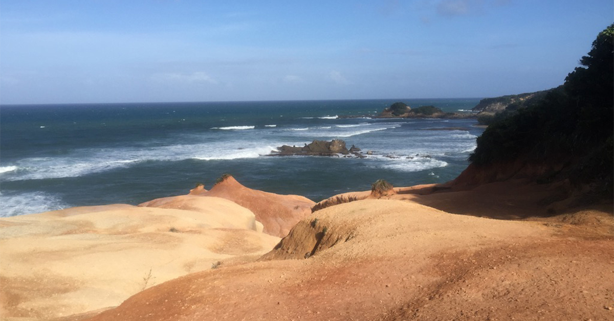 dominica red rocks