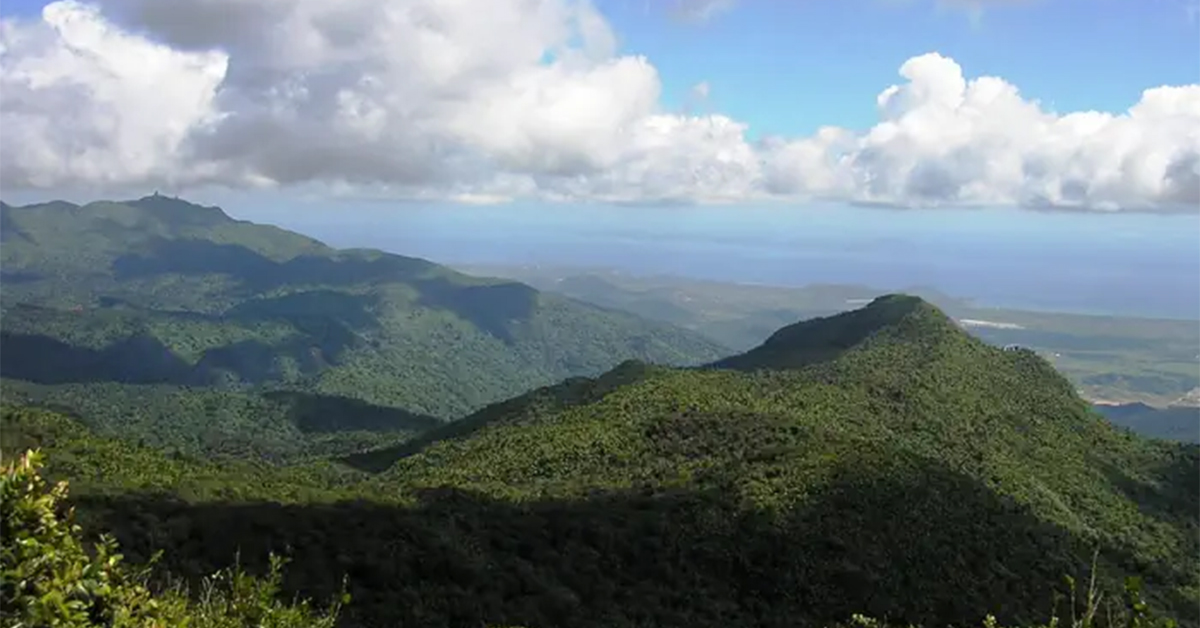 puerto rlco el yunque