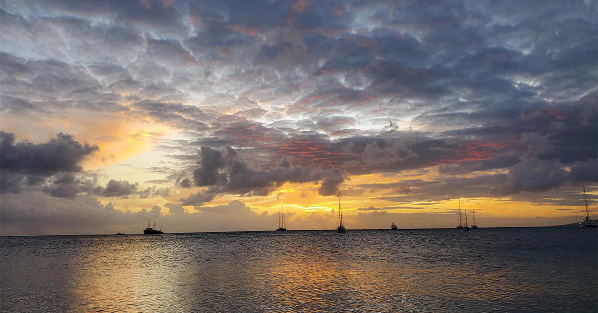 Sunset from SALT Plage in St Kitts.