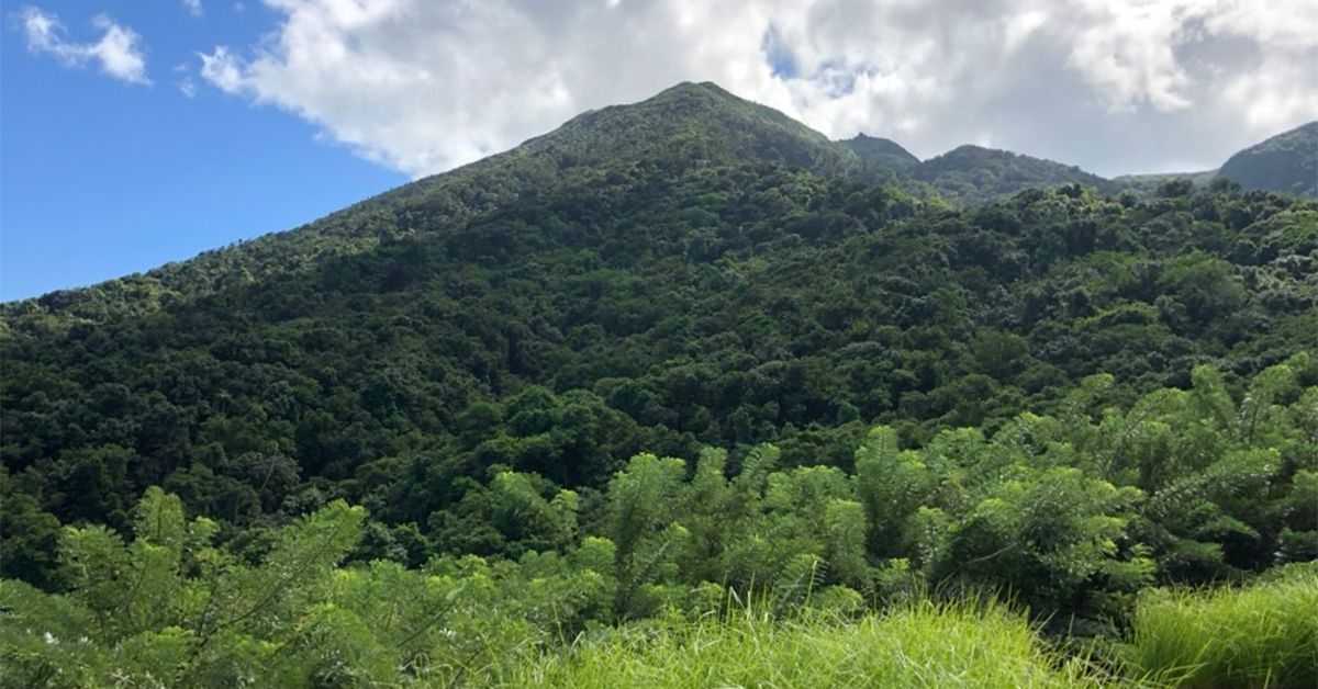 These Are the Winners of the E-Finity Green Caribbean Awards 2026