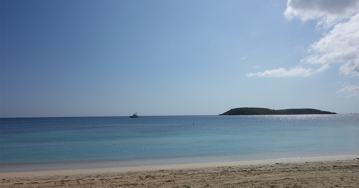 This Puerto Rico Beach Has Easy Swimming, a Protected Shoreline, and Wild Horses on the Sand