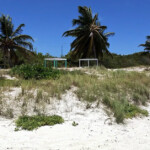 breezyswing beach