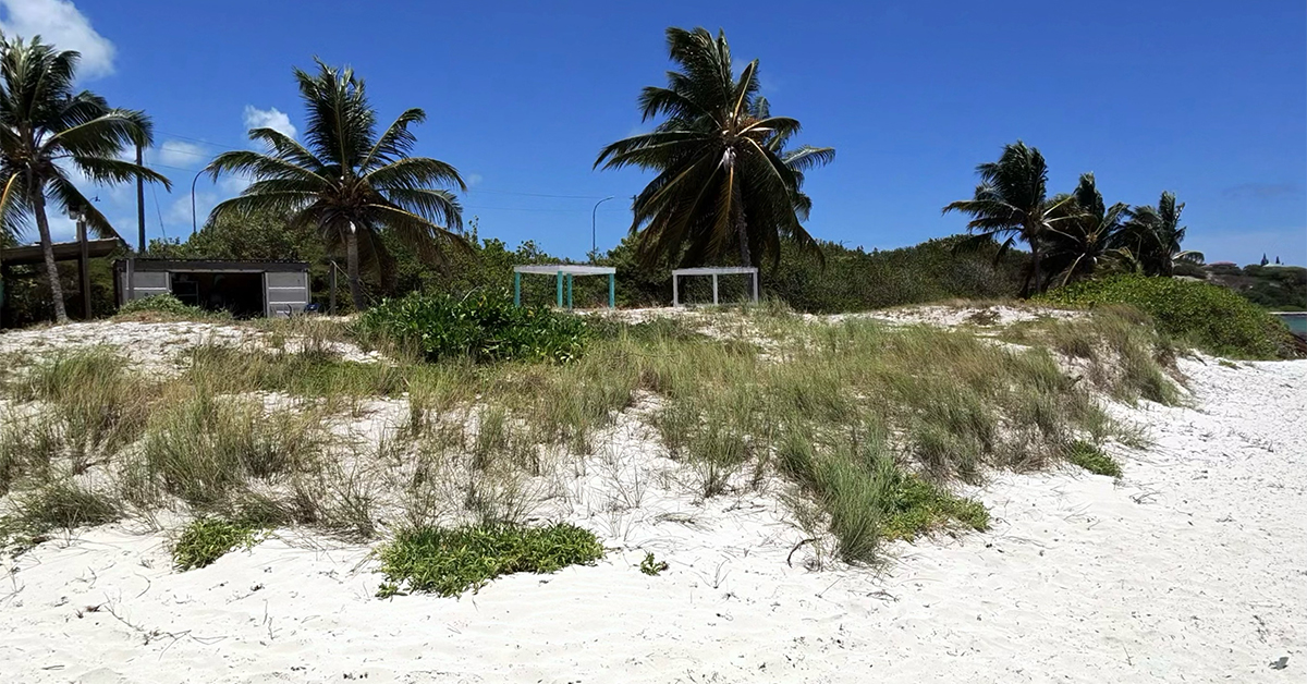 One of the Caribbean’s Coolest Beach Bars Is On an Uncrowded Beach in Antigua With Endless Breezes, Swinging Chairs, and Perfect Surf 
