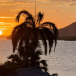 curtain bluff antigua