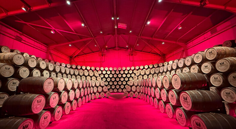 Inside one of the aging rooms.