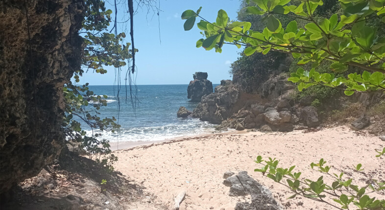 archers bay barbados
